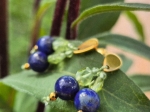 Kolczyki owoce | lapis lazuli, oliwin, hematyt